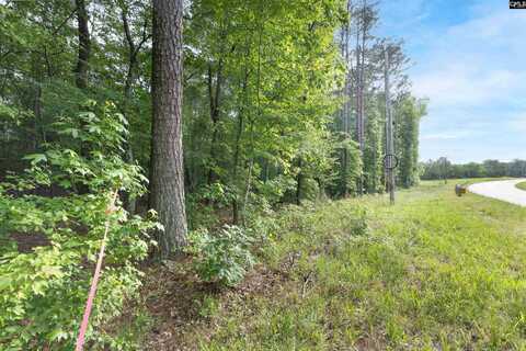 TBD St. Peters Church Road, Chapin, SC 29036