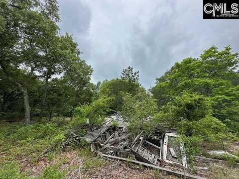 123 Landreth Court, Gaston, SC 29053