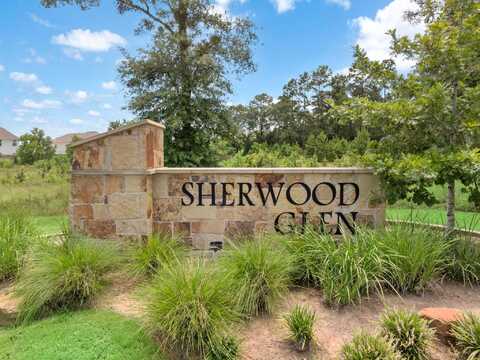 17820 Lionheart Road, Conroe, TX 77306
