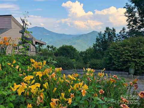 514 Skyridge Drive, Clyde, NC 28721