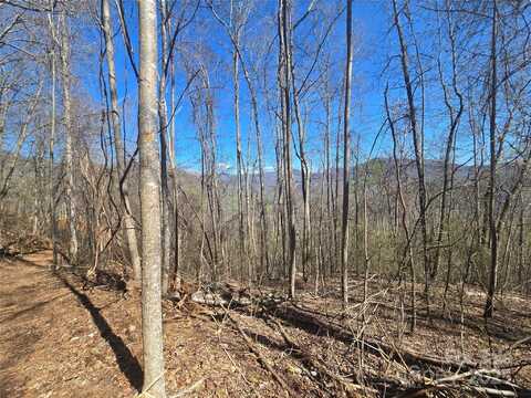 000 Brasstown Road, Cullowhee, NC 28723