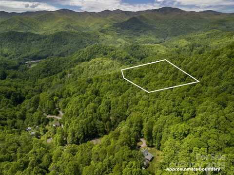 Lot 21 Top Drop Lane, Sylva, NC 28779