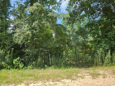 1 Trailer road, Hartford, AL 36344