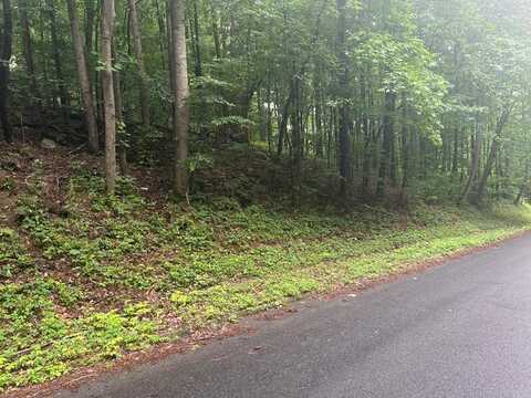 Taylor Drive, DALTON, GA 30720