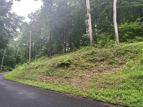Taylor Drive, DALTON, GA 30720