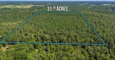 31 Acres Canyon Trail, Baker, FL 32531
