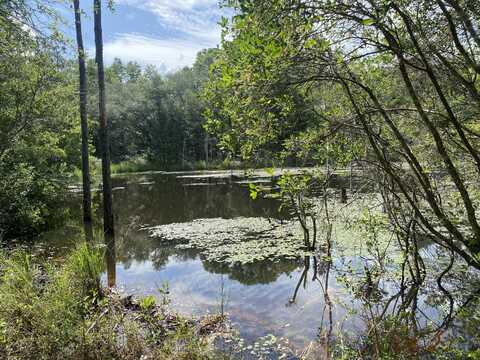 20 Acres Canyon Trail, Baker, FL 32531