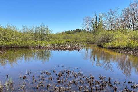 Lot 40 S River Run, Trout Lake, MI 49793