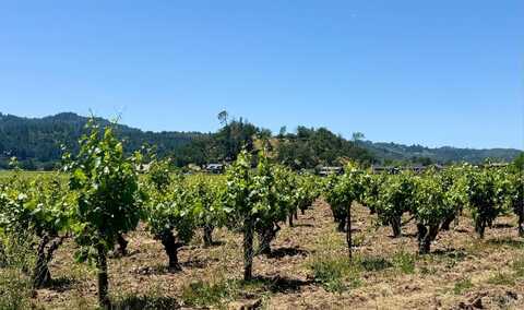 0 Rosedale Road, Calistoga, CA 94515
