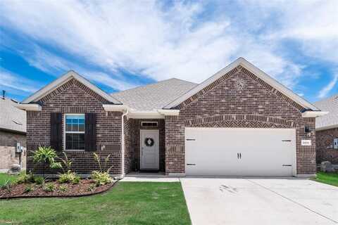 10104 Tidwell Street, Aubrey, TX 76227