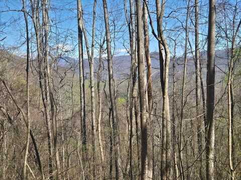 Brasstown Road, Cullowhee, NC 28723