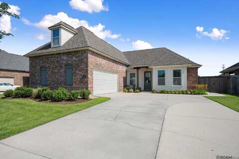36436 Belle Savanne Ave, Geismar, LA 70734