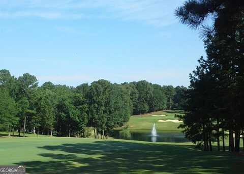 1221 Linger Longer, Greensboro, GA 30642