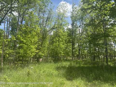 11459 Vfw Road, Eaton Rapids, MI 48827