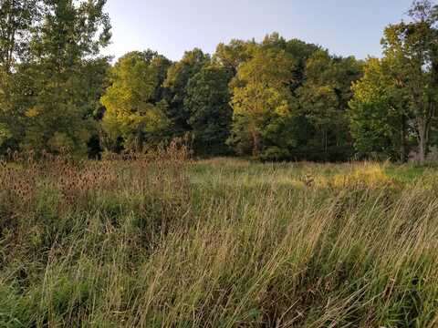 7000 Surrey Drive, Onsted, MI 49265