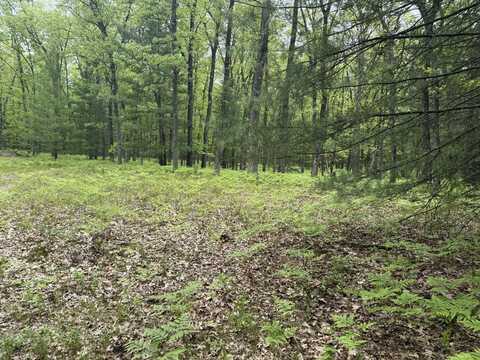 8616 Katie Lane, Baldwin, MI 49304