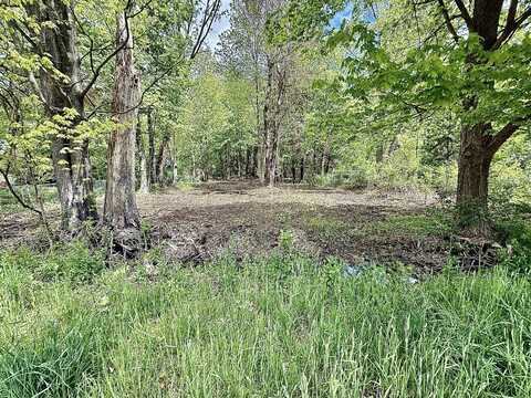 0 S Brooks Road, Fruitport, MI 49415