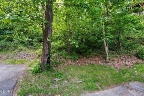 123 & 124r Alpine Mountain, Pigeon Forge, TN 37863
