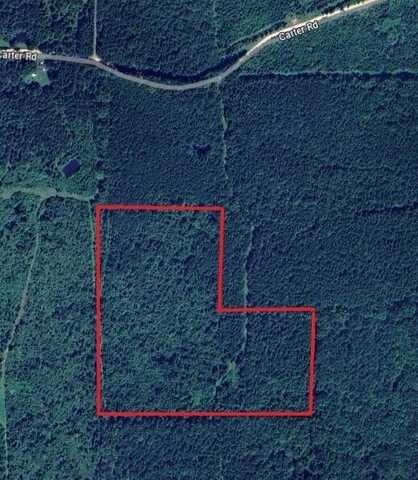 Carter Road, Macon, MS 39341