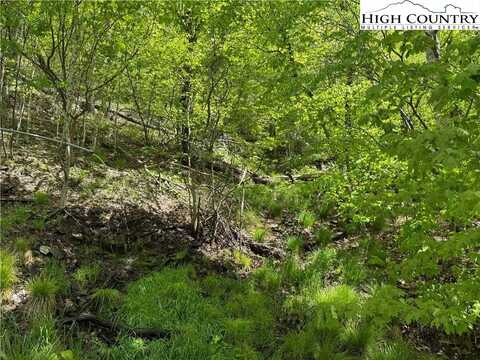 19 Wakeman Way, Banner Elk, NC 28604