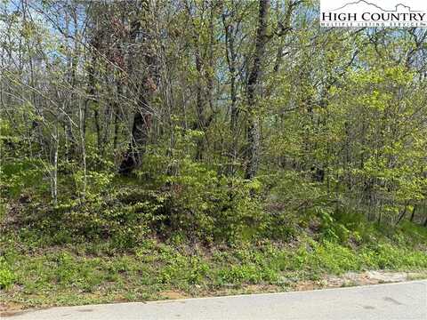 44 Fox Paw Lane, Banner Elk, NC 28604