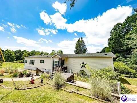 1073 Post Tousey Road, Caneyville, KY 42721