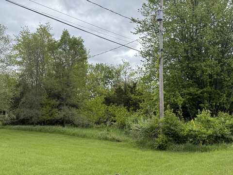 VL Carlysle Drive, Brooklyn, MI 49230