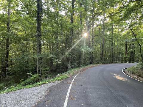 Gamble Lane, Walland, TN 37886