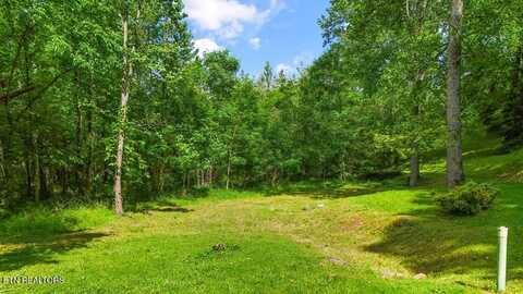 Butcher Lane, Rocky Top, TN 37769