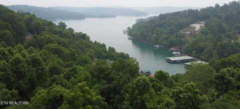 00 Shanghai Lake Lane, La Follette, TN 37766