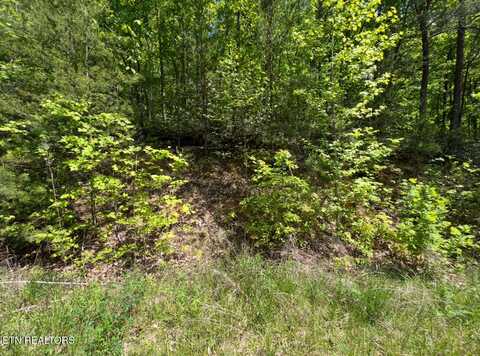 Lot 50 Yellowwood Drive, Sevierville, TN 37876