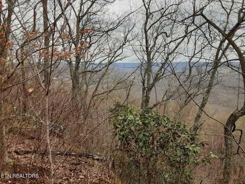 95.43 Acre Sheep Bluff Rd, Cookeville, TN 38506