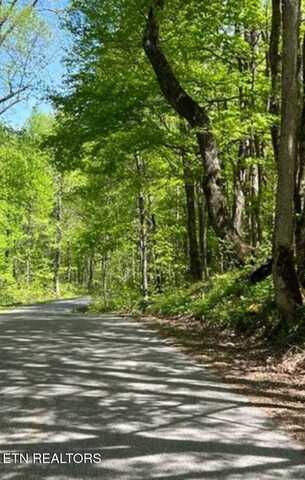 95.43 Acre Sheep Bluff Rd, Cookeville, TN 38506