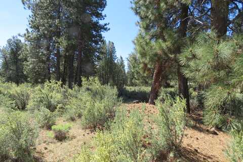 Castle Dr Lot 10, Chiloquin, OR 97624