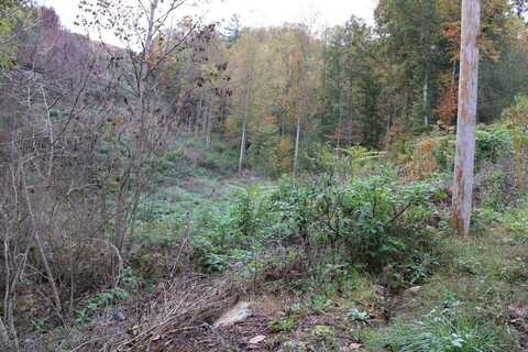 3021 KY Hwy 80, Hyden, KY 41749