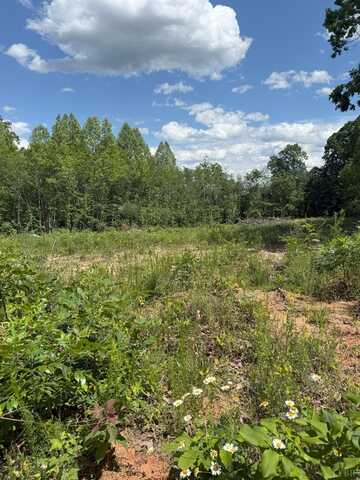 0 Cutbanks Road, Appomattox, VA 24522