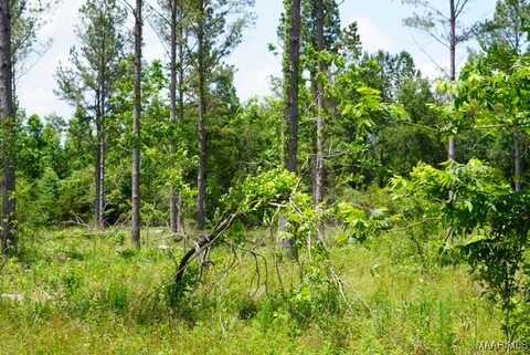 0 Pineapple Highway, Forest Home, AL 36030