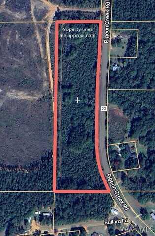 0 Pigeon Creek Road, Georgiana, AL 36033