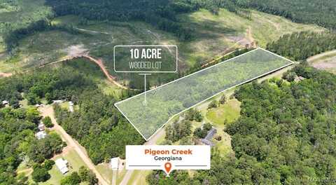 0 Pigeon Creek Road, Georgiana, AL 36033