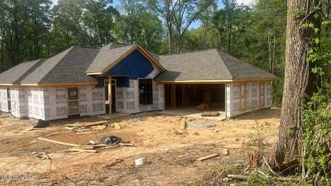 2197 County Line Road, Crystal Springs, MS 39059