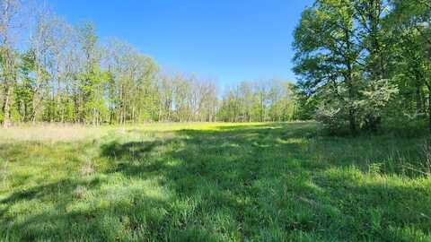 8238 Thornapple Lake, Nashville, MI 49073