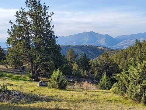 WILEY CREEK ROAD Road, Dayville, OR 97825