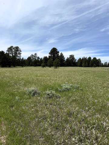 TBD Colt Trail, Sundance, WY 82729