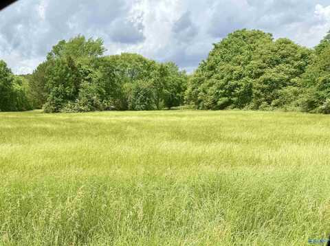.79 Mount Lebanon Road, Toney, AL 35773