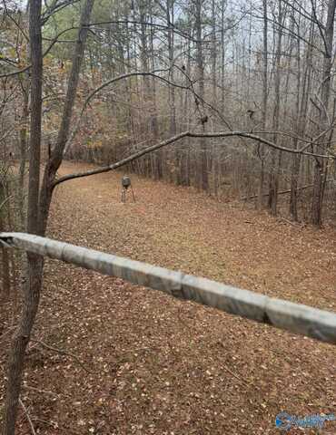 40 County Highway 25, Hamilton, AL 35570