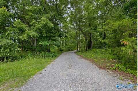 20290 Looney Road, Athens, AL 35613