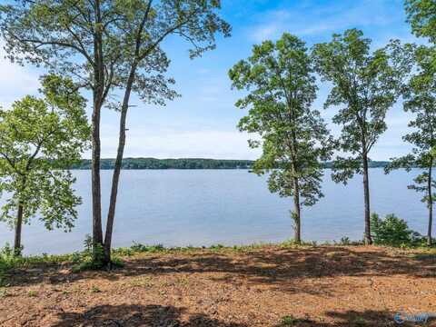 Lot #64 Spyglass Loop, Cherokee, AL 35616