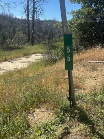 55 Town Hill Way, Berry Creek, CA 95916