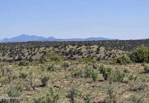 8175 Sharp Knife Road, Williams, AZ 86046