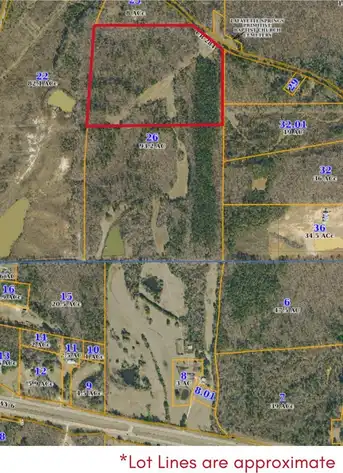 36 County Road 284, Thaxton, MS 38655
